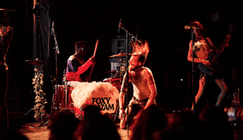 Excited Foxy Shazam GIF by wade.photo