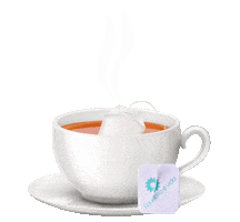 Cha Chimarrao Sticker by Equilíbrio é Vida