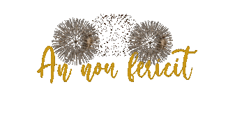 New Year Fireworks Sticker