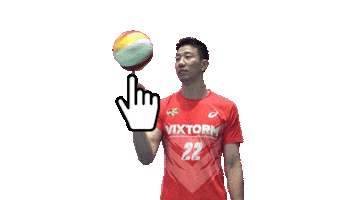 Vixtorm Sticker