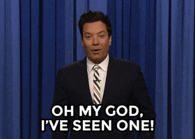 Jimmy Fallon Omg GIF by The Tonight Show Starring Jimmy Fallon