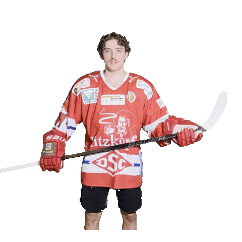 Hockey Sticker by dsc-eishockey