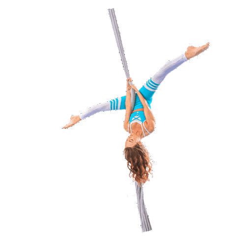 Sticker by Aerial Physique