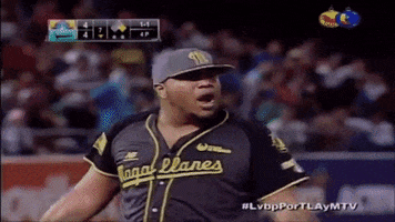barriglez venezuela GIF