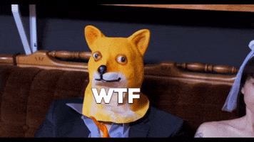 Lifeonset Wtf GIF by Life On Set Series