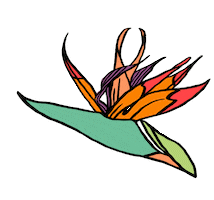 Bird Of Paradise Flower Sticker