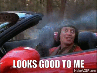 Looks Good To Me Meme GIFs