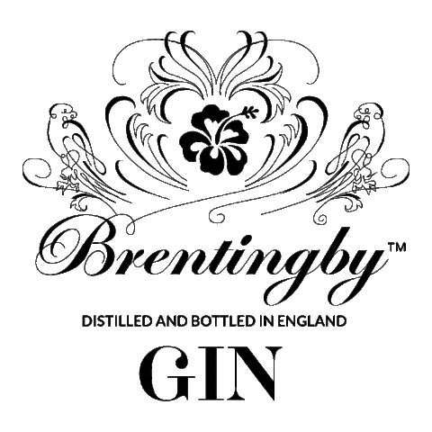 Discovergin Sticker by Brentingby Gin