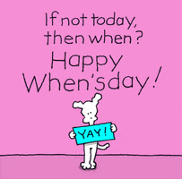 Happy Wednesday GIF by Chippy the Dog