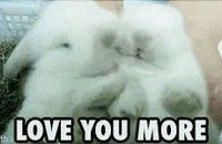 I Love Gymone Gifs Get The Best Gif On Giphy I Love Gymone Gifs Get The Best Gif On Giphy