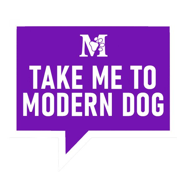 Modern Dog (Pittsburgh) Sticker