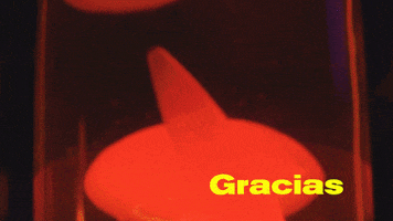 GIF by Blanco y Negro Music