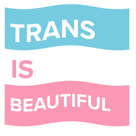 Proud Trans Day Of Visibility GIF by TINDER