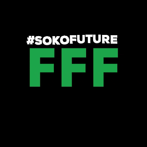 sommerkongress fff soso fridays for future sokofuture GIF