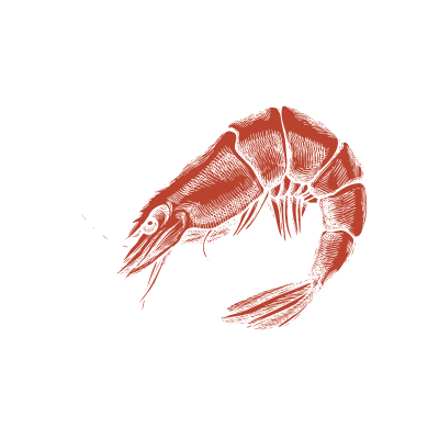 Acaraje Express Sticker