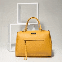 Accessory-bag GIFs - Get the best GIF on GIPHY