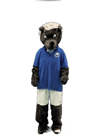 Sport Win Sticker by SuS Stadtlohn 19/20