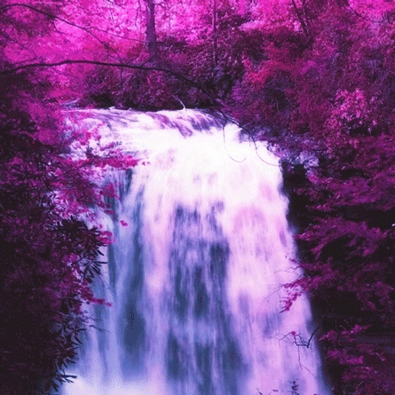 Waterfall GIFs | GIFDB.com