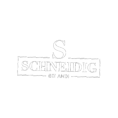 Schneidigandi Sticker by Andi Schneidig