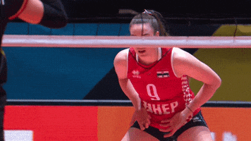 Hands Here You Are GIF by CEV - European Volleyball