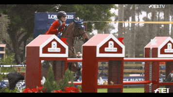 Jumping Team Usa GIF by FEI Global