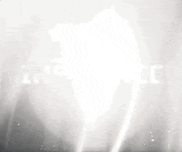 Moi Non Plus Jirai Pas Gifs Get The Best Gif On Giphy
