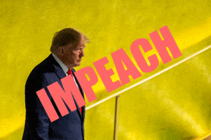 impeachment impeach impeach trump impeach the pres GIF