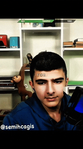 Semihcagis GIF