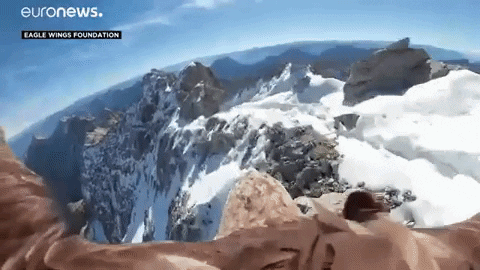 Flying Climate Change GIF by euronews - Find & Share on GIPHY