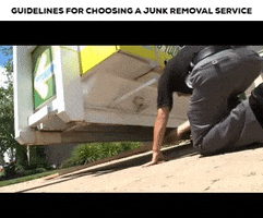 Junkit Toronto GIF