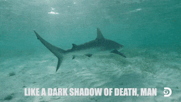 Discovery Channel Nakedandafraid GIF by Discovery