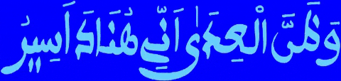Wa Zannal GIF