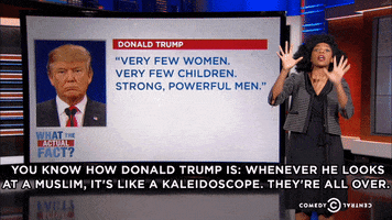 donald trump GIF by The Daily Show with Trevor Noah