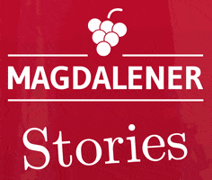 magdalener stories bolzano bozen maddalena GIF