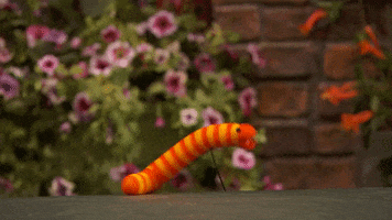 Excited Jump GIF by Sesame Street