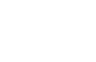 Volkswlogger Sticker