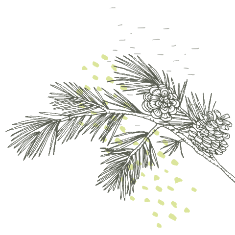 Vitalpina Hotels Südtirol Sticker