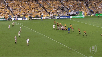 World Cup Sport GIF by World Rugby