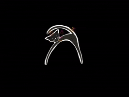 Beckum Rumskedi Schwarzerkater Rumskedikater GIF