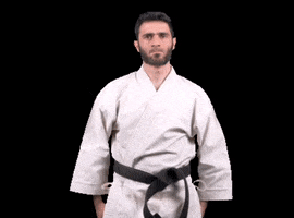 RunbenGuo us respect karate saludo GIF