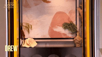 Jack Antonoff Hello GIF by The Drew Barrymore Show