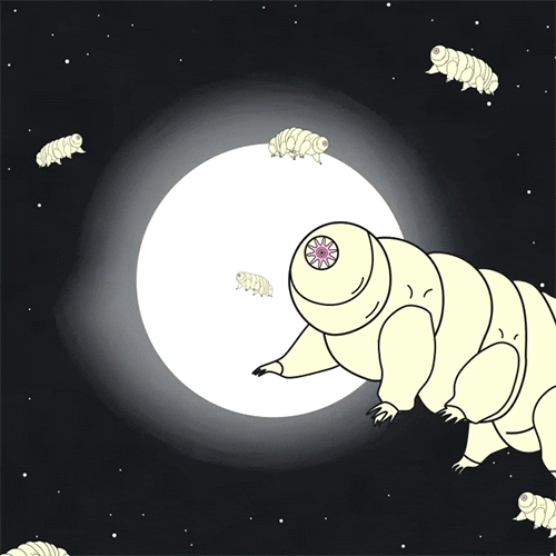 almaforrer space animal moon strong GIF