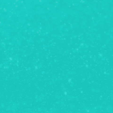 GIF by Anahuac Mayab