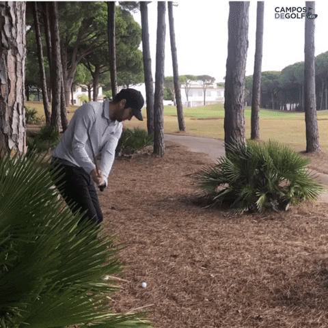 CamposDeGolf.es GIF