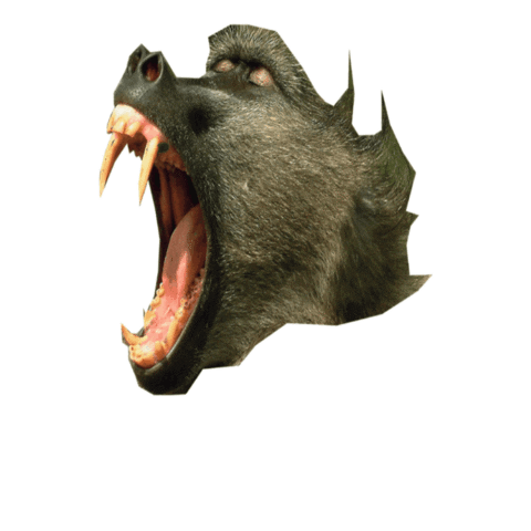 Angry Sticker by CompostRecords