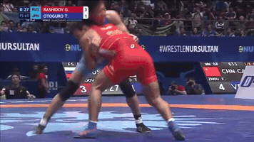 Wrestling GIF