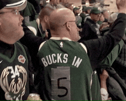 Lets Go Sport GIF by Milwaukee Bucks