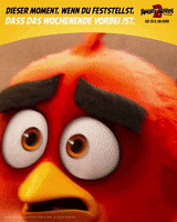 Angry Birds 2 Film GIF by Sony Pictures Entertainment Deutschland