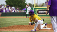 Lsu-baseball GIFs - Get the best GIF on GIPHY