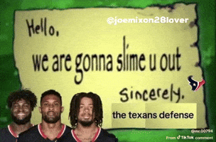 Texans GIF